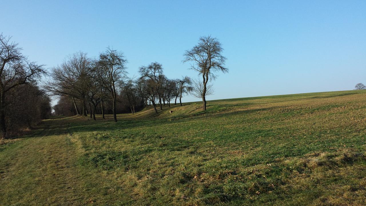 Hotel Bad Langensalza Eichenhof Zewnętrze zdjęcie