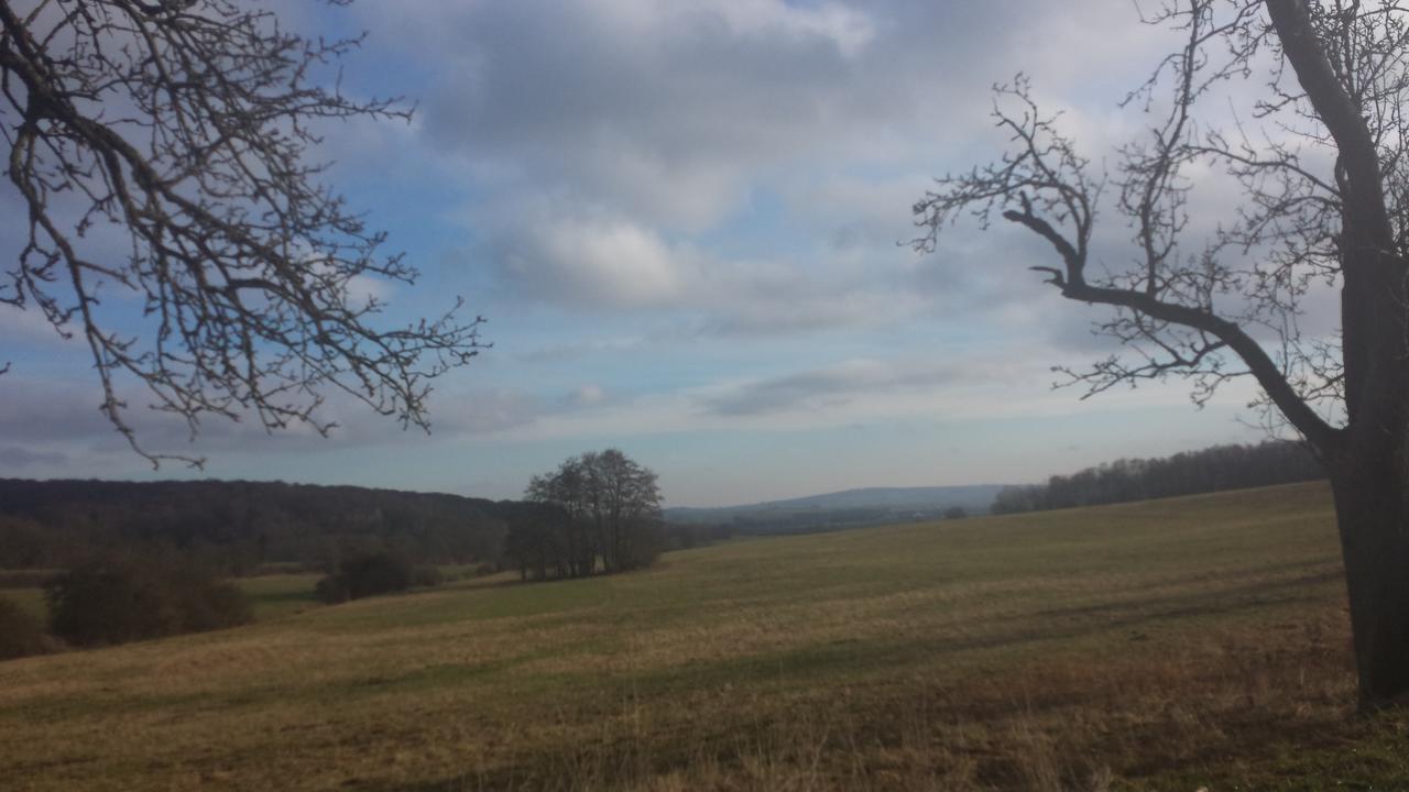Hotel Bad Langensalza Eichenhof Zewnętrze zdjęcie