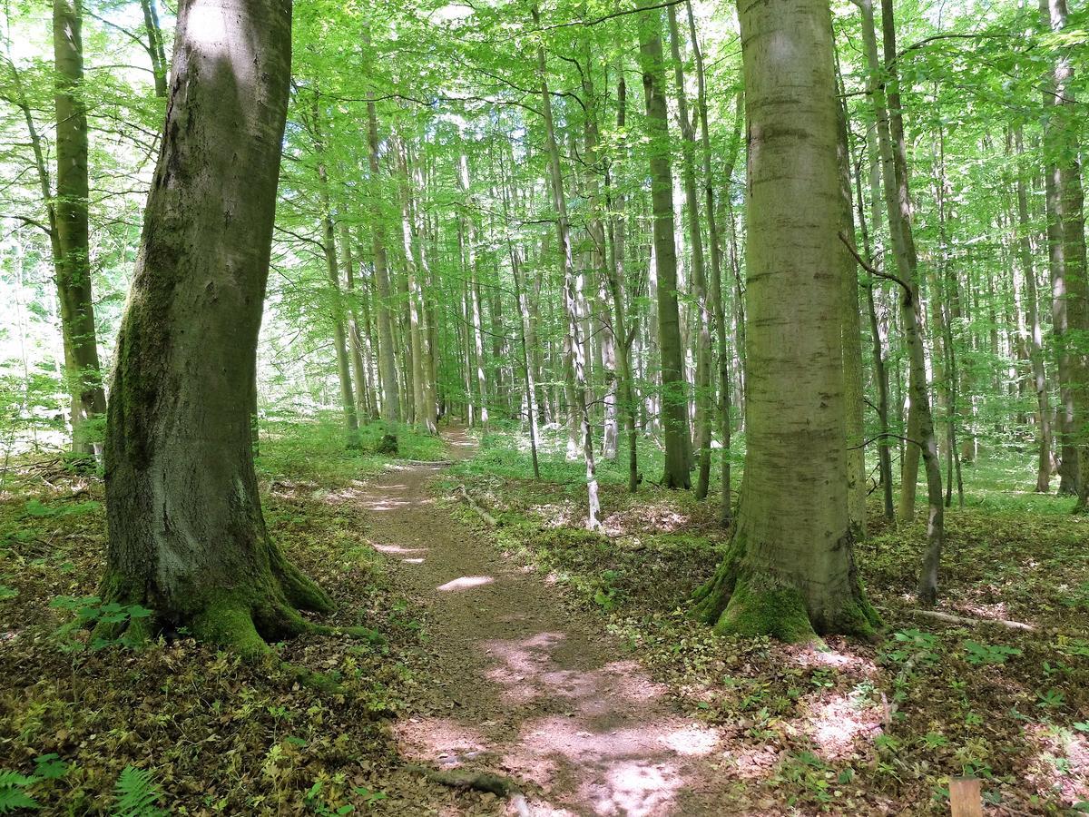 Hotel Bad Langensalza Eichenhof Zewnętrze zdjęcie